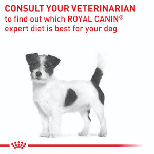 Royal Canin Veterinary Diet Small Dog Dental Food - RSPCA VIC
