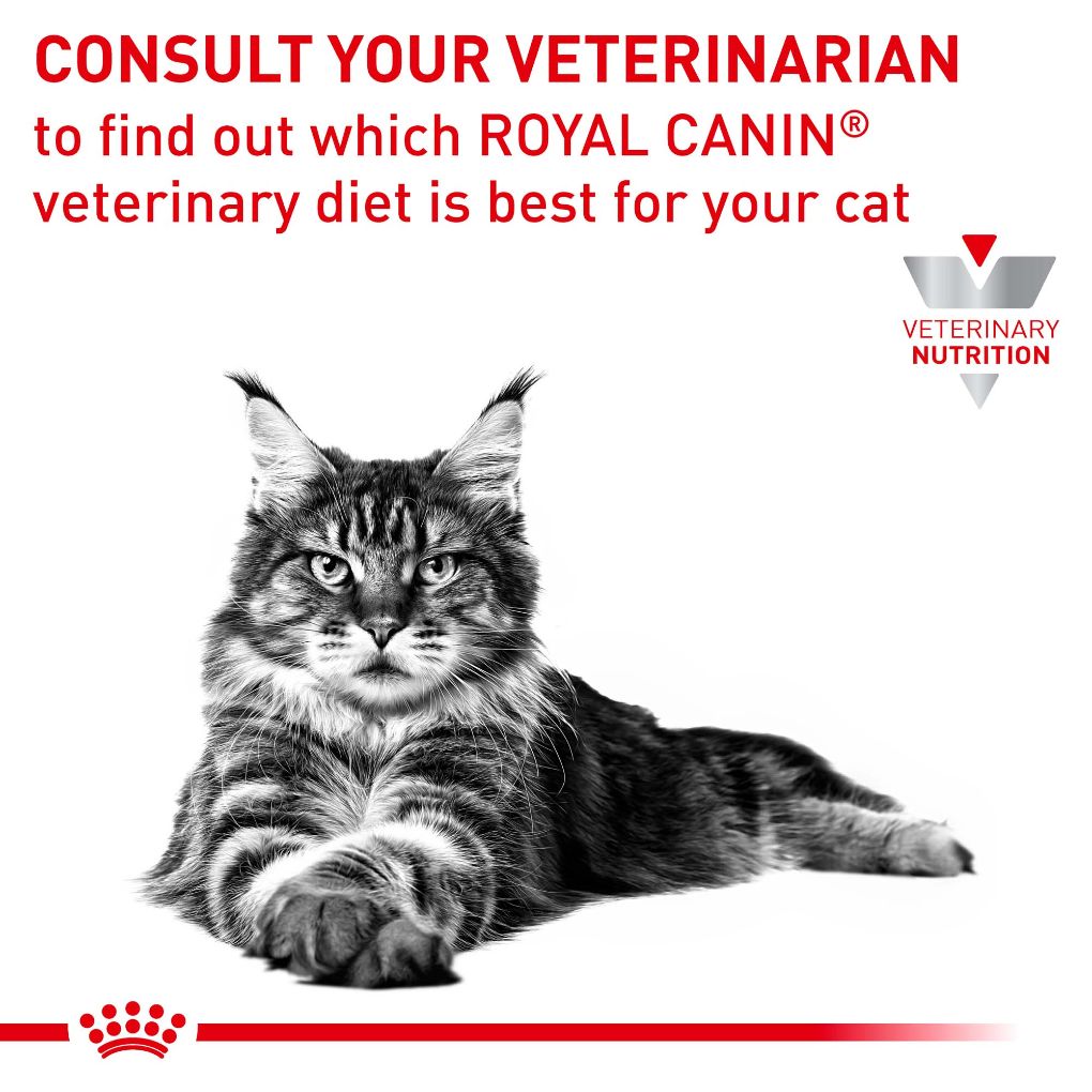 Royal Canin Veterinary Diet Hypoallergenic Dry Food for Cats