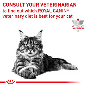 Royal Canin Veterinary Diet Hypoallergenic Dry Food for Cats - RSPCA VIC