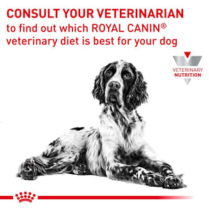 Royal Canin Veterinary Diet Anallergenic Dog Food 3kg - RSPCA VIC