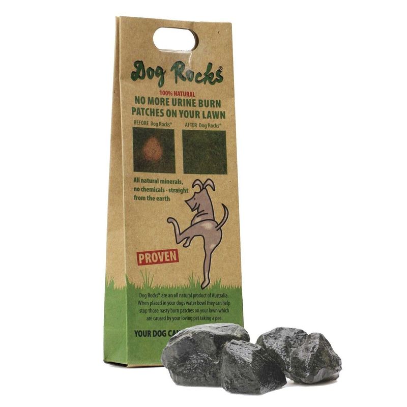 Dog Rocks