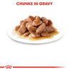 Royal Canin Indoor Gravy Pouches - RSPCA VIC