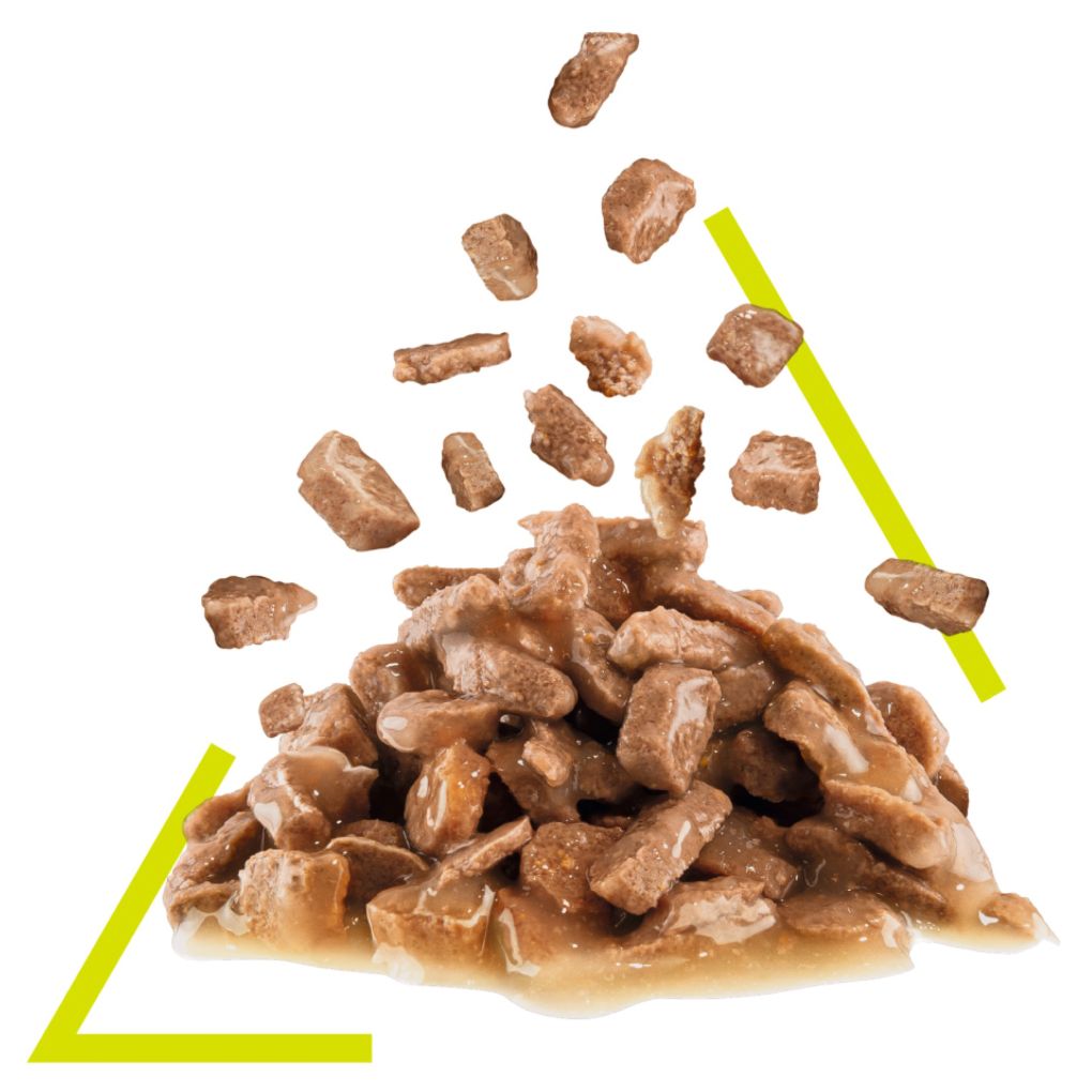 Royal Canin Sensory Smell Gravy 85g x12 - RSPCA VIC