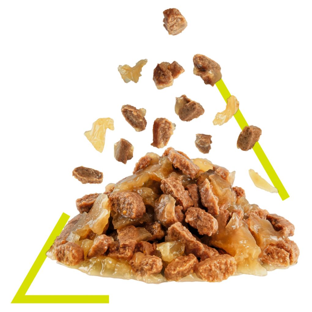 Royal Canin Sensory Smell Jelly 85g x12 - RSPCA VIC