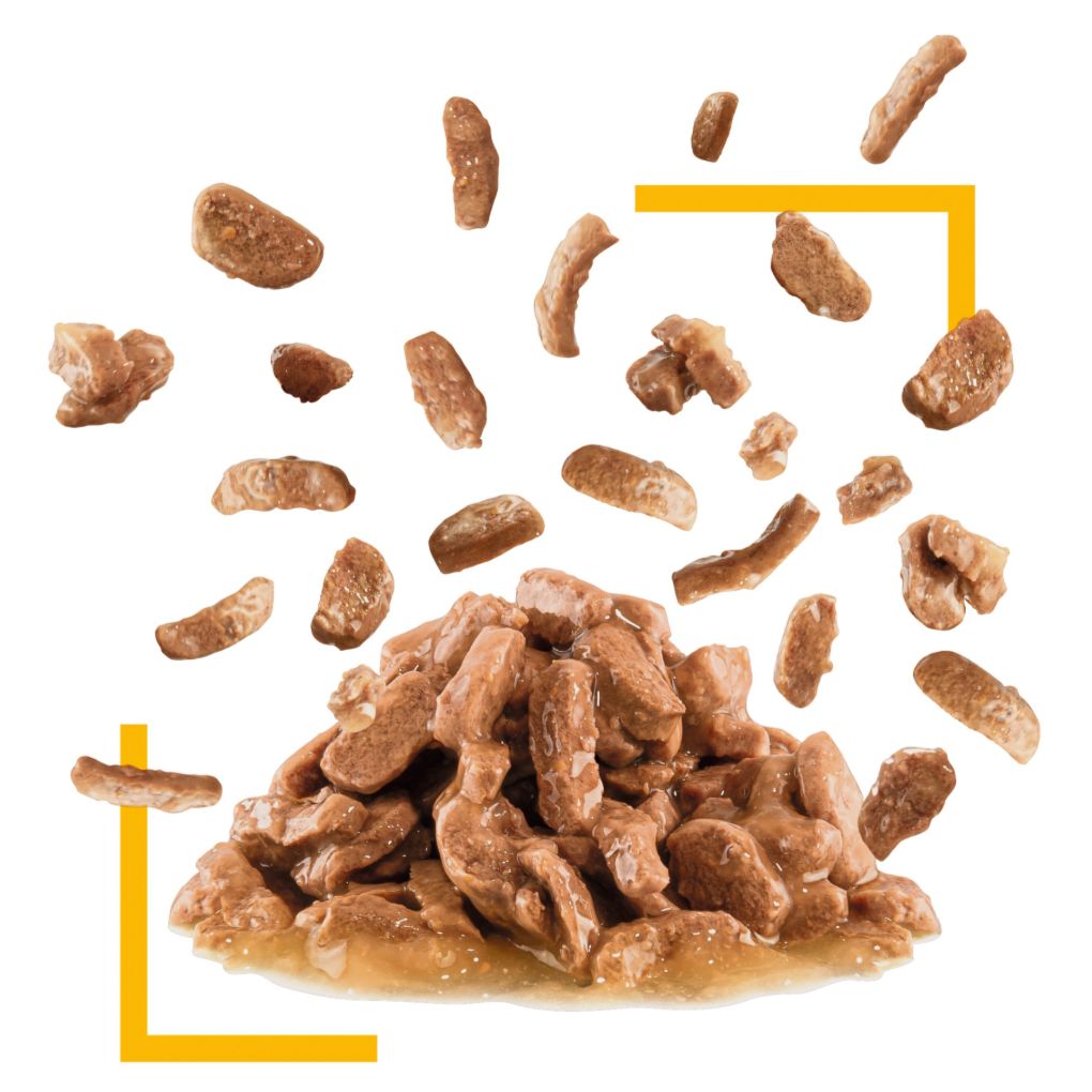 Royal Canin Sensory Taste Gravy 85g x12 - RSPCA VIC