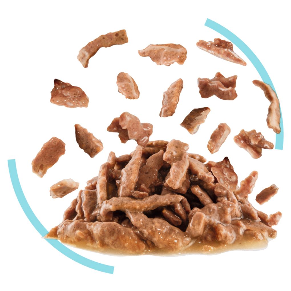 Royal Canin Sensory Feel Gravy 85g x12 - RSPCA VIC