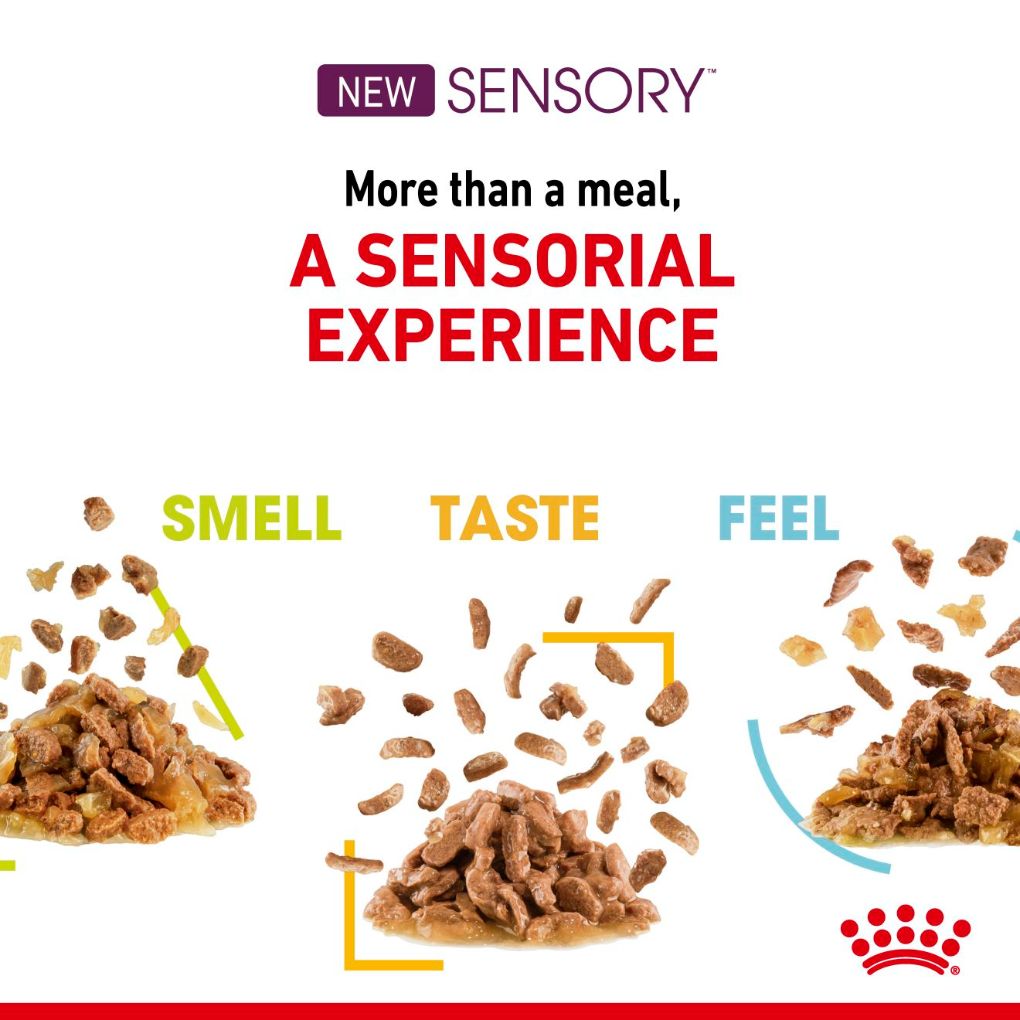 Royal Canin Sensory Feel Cat Food in Gravy RSPCA VIC