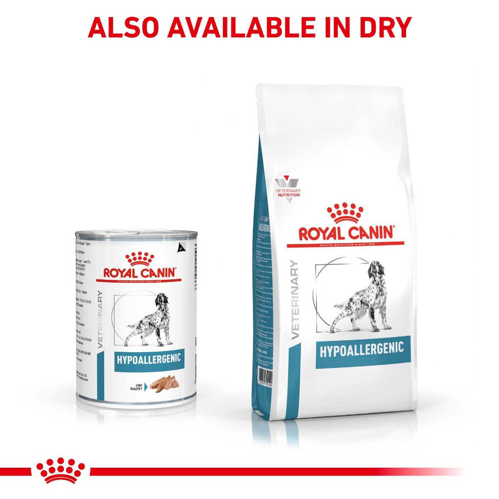 Hypoallergenic dog wet sales food