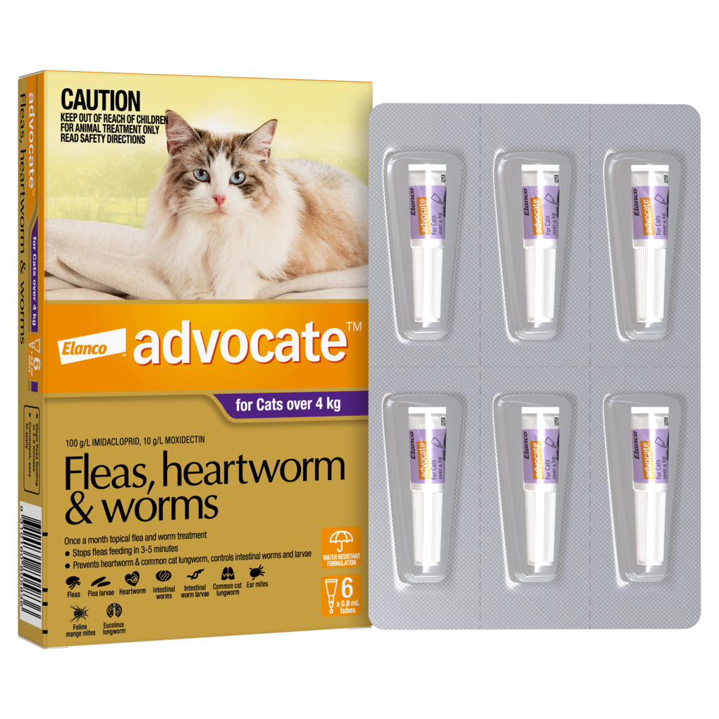Advocate Flea, Heartworm & Worm Treatment for Cats Over 4kg 6 Months - RSPCA VIC