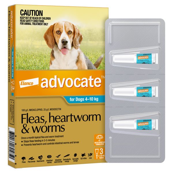 Advocate for dogs best sale