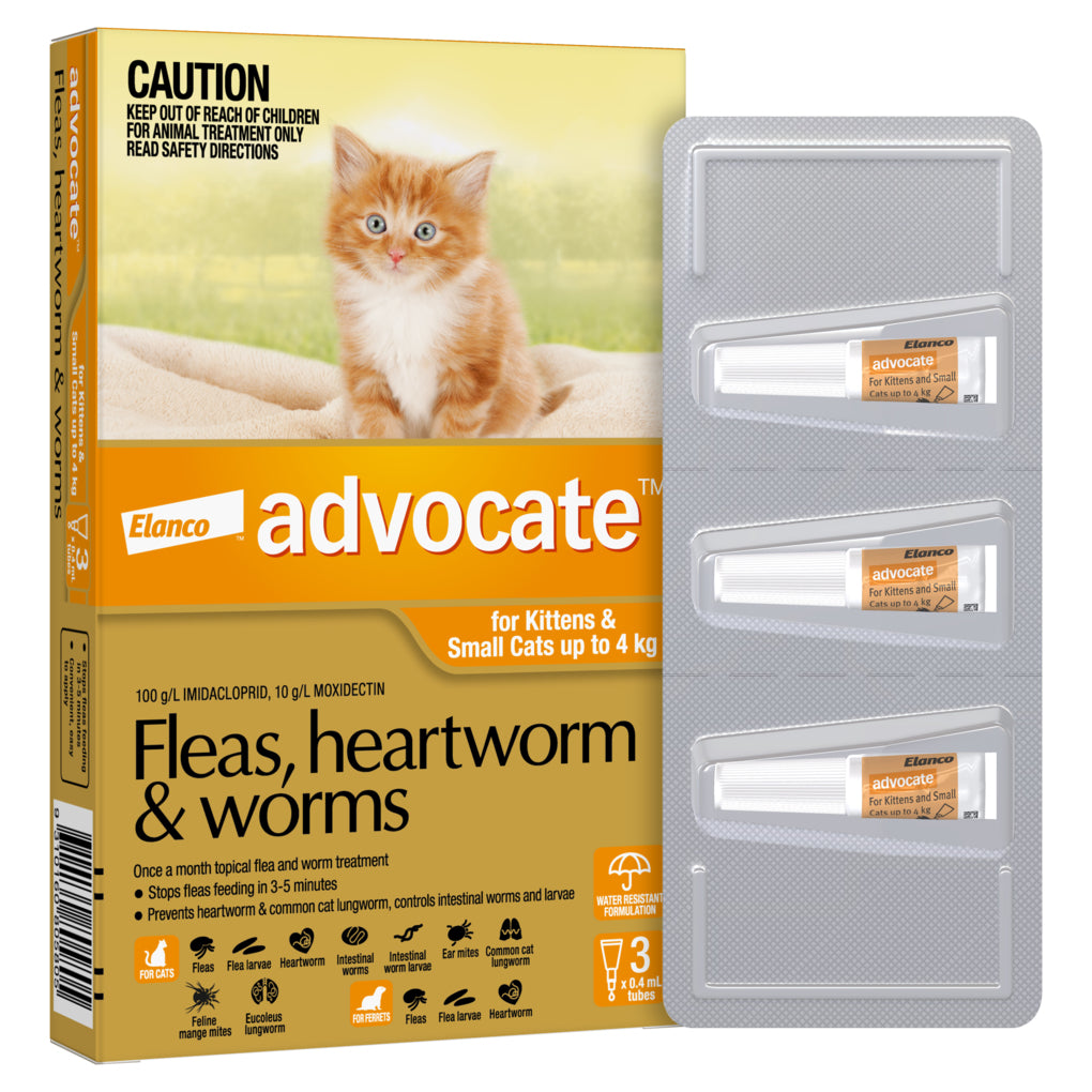 Advocate fleas heartworm and worms store for cats