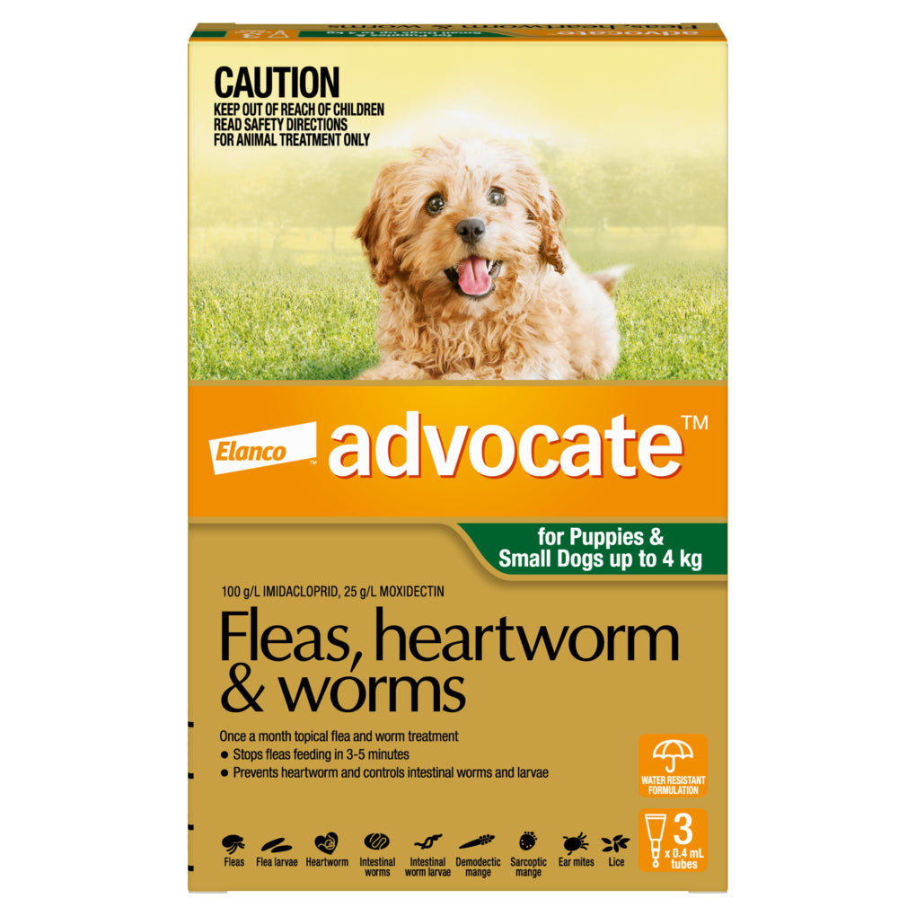 Flea tick and worm treatment for puppies best sale