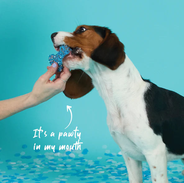 Kazoo Barney's Barkery Dog Bone Biscuit - Blue