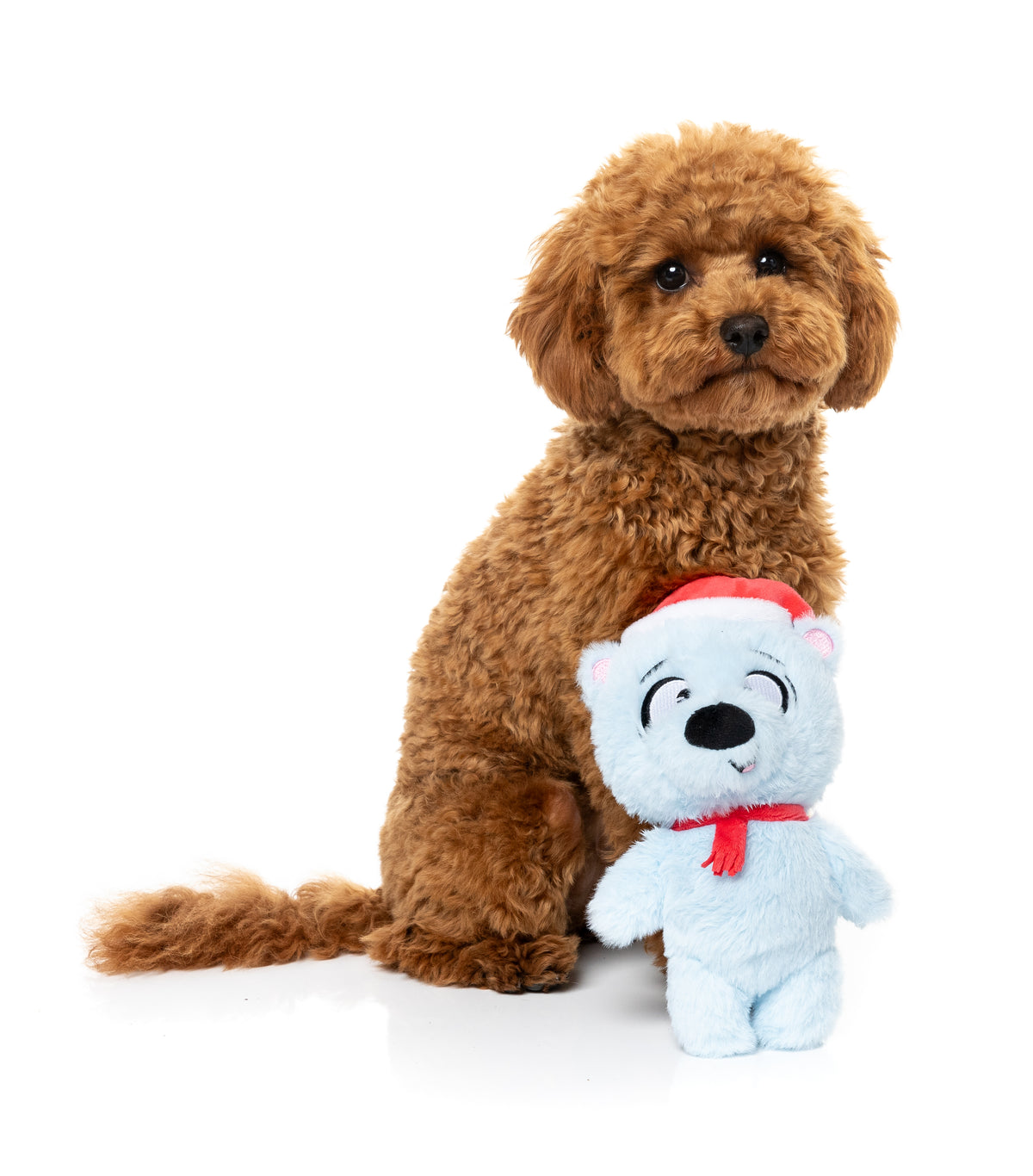 FuzzYard Dog Toy - Brrr-uce The Polar Bear
