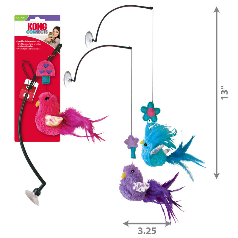 KONG Connects Cat Window Teaser - RSPCA VIC