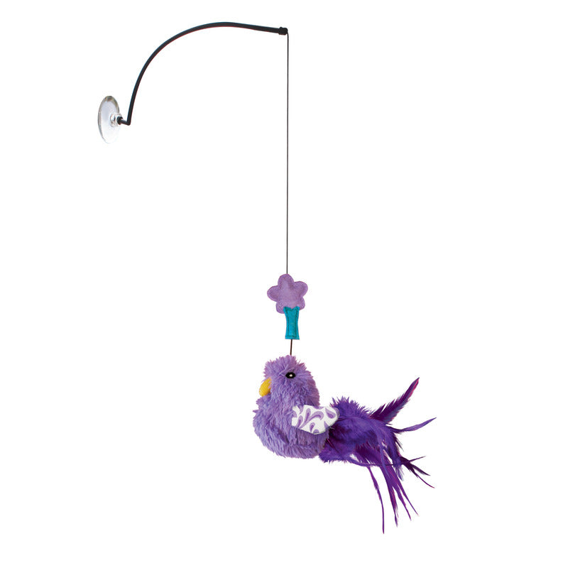 KONG Connects Cat Window Teaser - RSPCA VIC