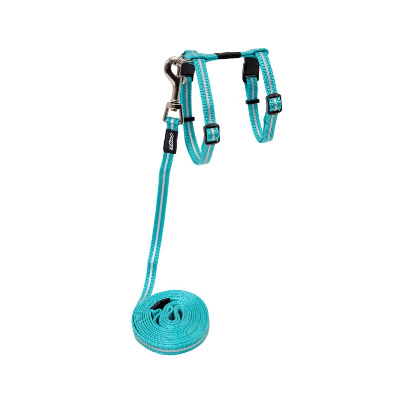 Rogz Alleycat Harness and Lead Set Teal