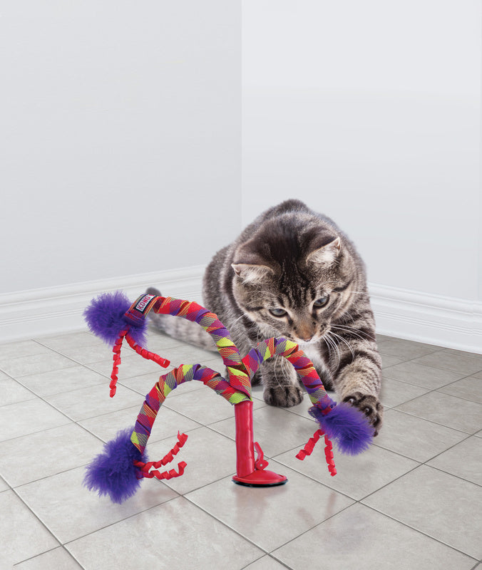 KONG Connects Curlz Cat Toy - RSPCA VIC