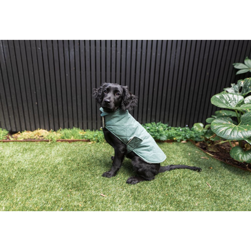 Fuzzyard Life Dog Coat Quilted Cotton Wrap Vest Myrtle Green - RSPCA VIC