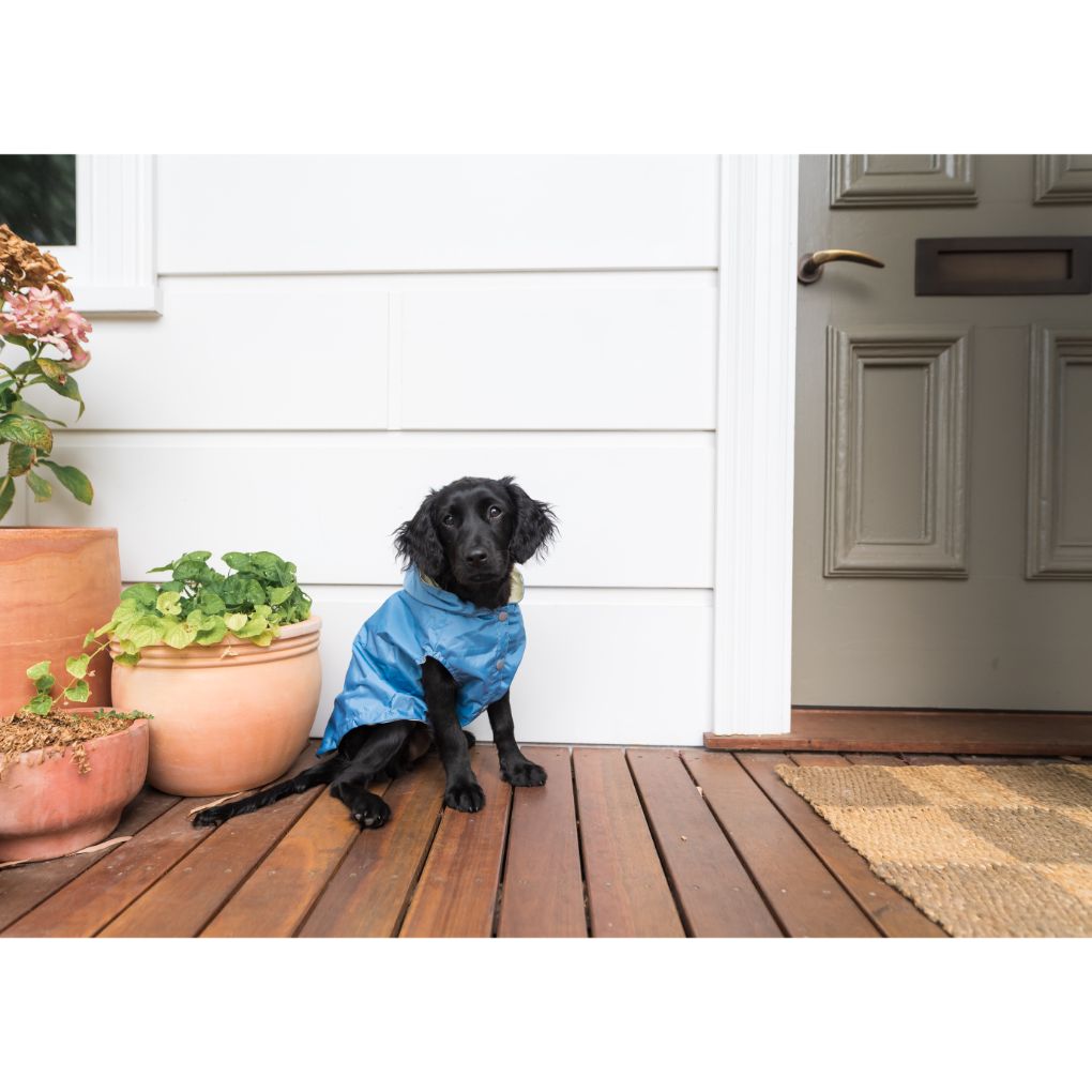 Fuzzyard Life Raincoat For Dogs French Blue - RSPCA VIC
