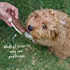 Kazoo Barney's Barkery Eclair