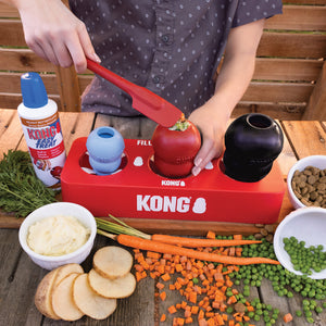 KONG Fill or Freeze Tray - GWP