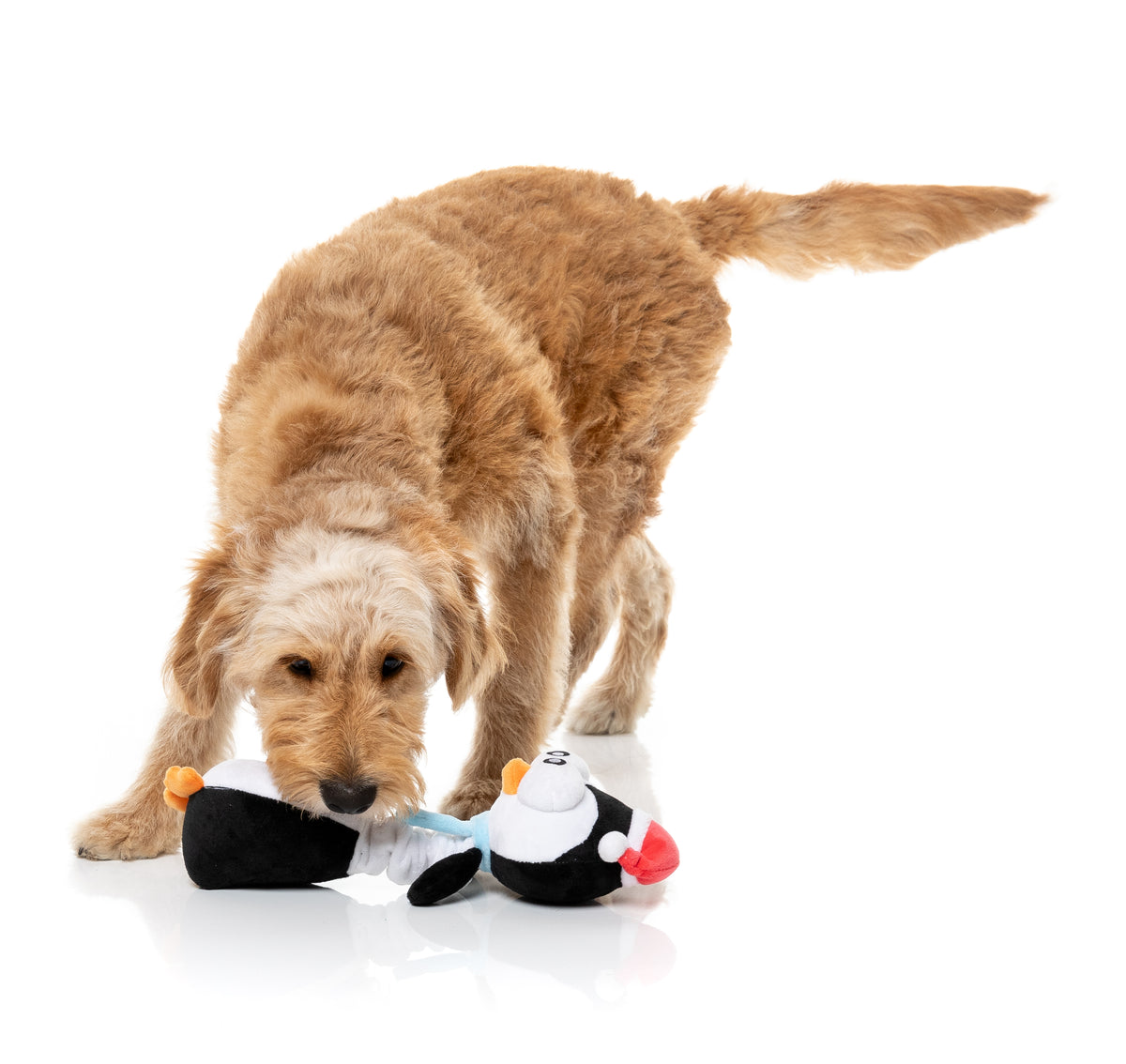 FuzzYard Dog Toy - Finneck The Penguin