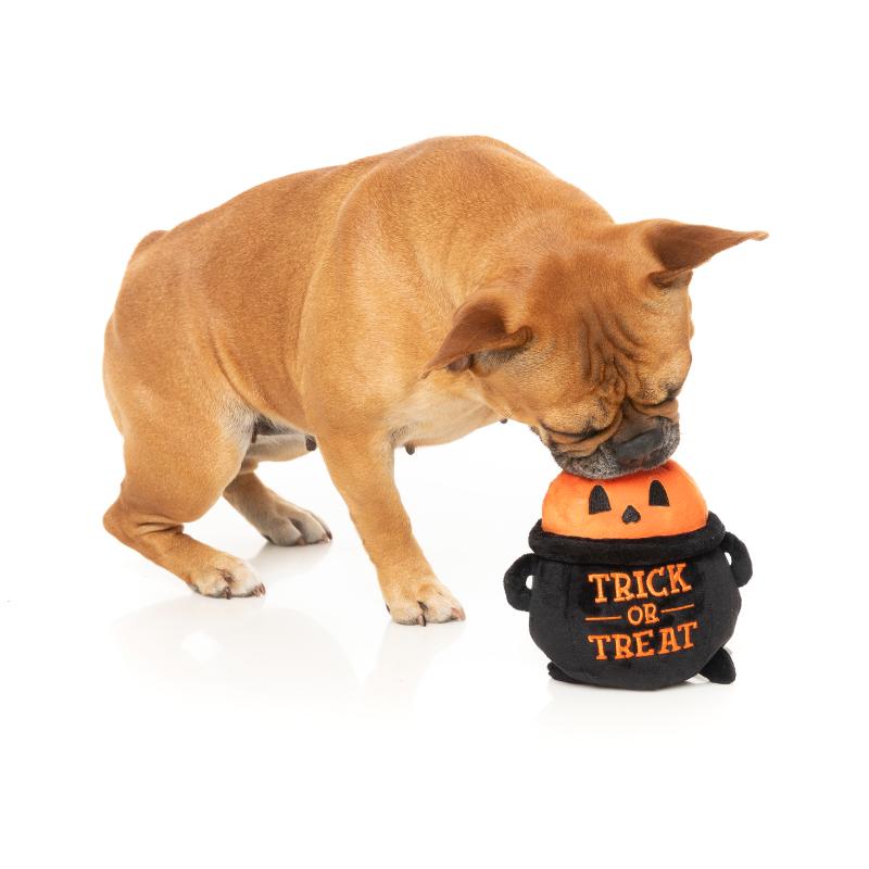 FuzzYard Trick Or Treat Cauldron - Dog Toy