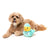 Fuzzyard Plush Dog Toy Ducktor - RSPCA VIC