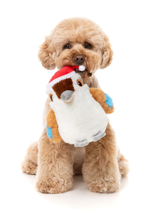 Fuzz Yard Ka-Tree-Na the Kookaburra - Dog Toy