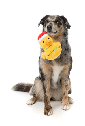 FuzzYard Merry Quackmas - Dog Toy