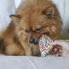 Kazoo Barney's Barkery Fairy Bread