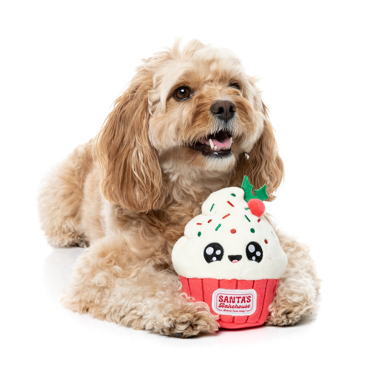 FuzzYard Dog Toy - Frosty The Cupcake