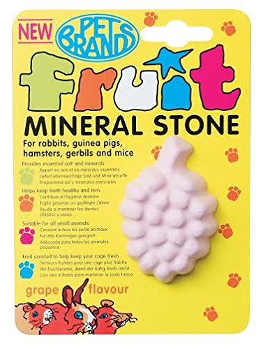 Small Animal Fruit Mineral Stone - RSPCA VIC