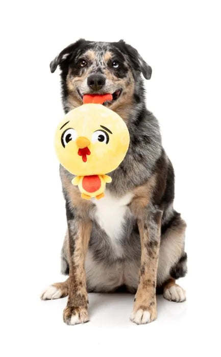 FuzzYard Dog Toy - Hen Diesel