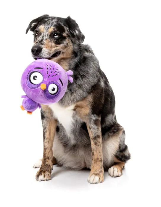 FuzzYard Dog Toy - Hoo-Dini