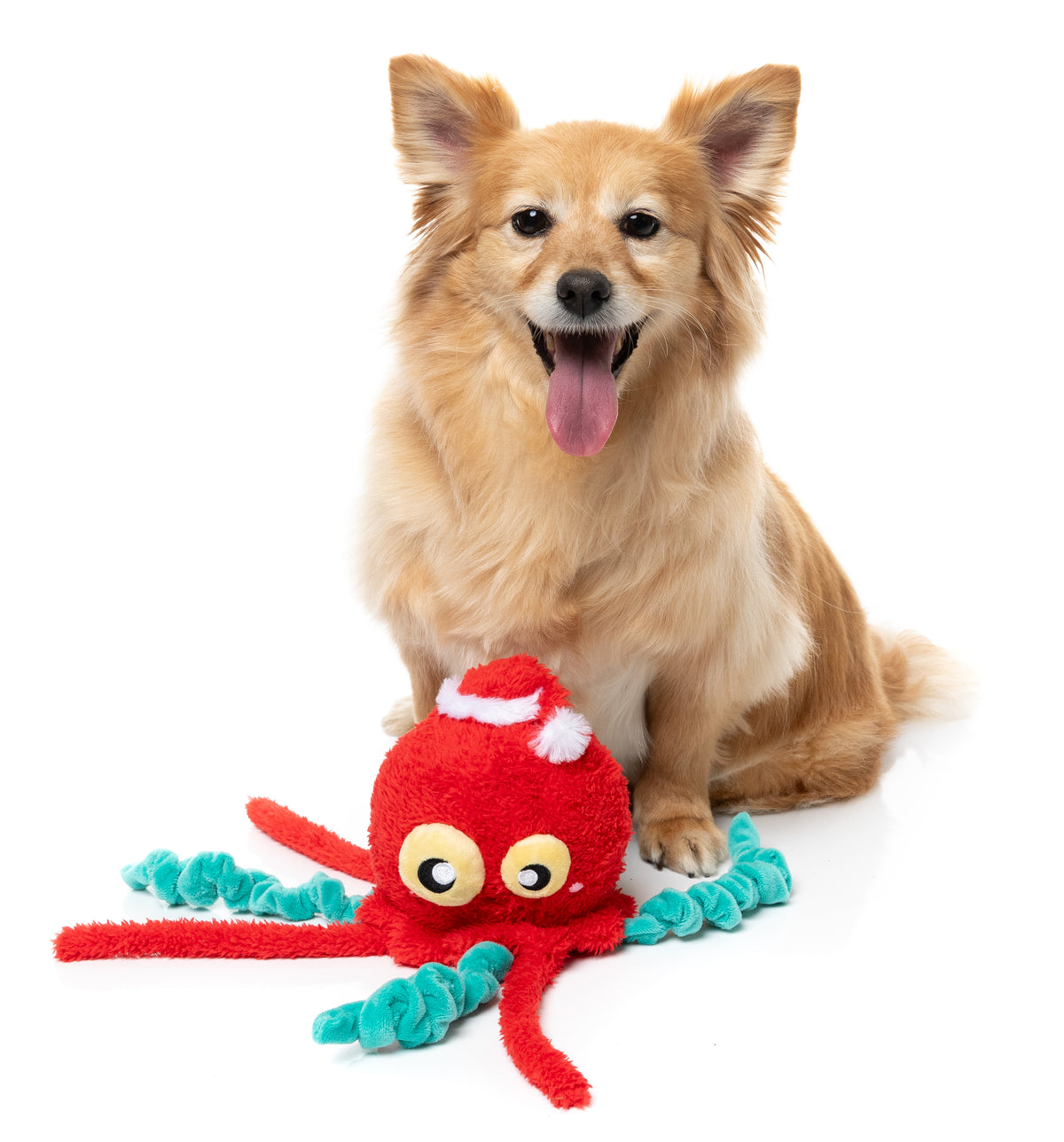 FuzzYard Dog Toy - Jollyfish