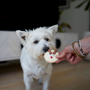 Christmas Rudolph Yoghurt Dog Cookie