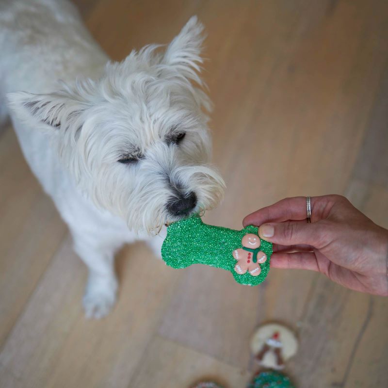 Kazoo Christmas Bone Gingerbread Dog Cookie with Sprinkles