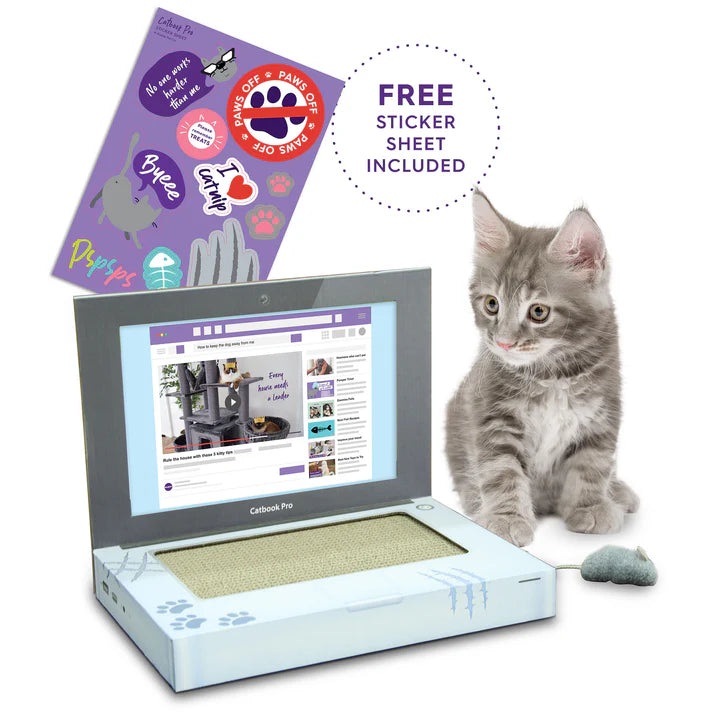 Kazoo Catbook Pro - Cardboard Cat Laptop