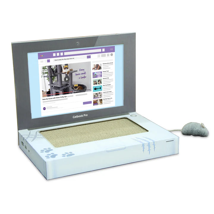 Kazoo Catbook Pro - Cardboard Cat Laptop