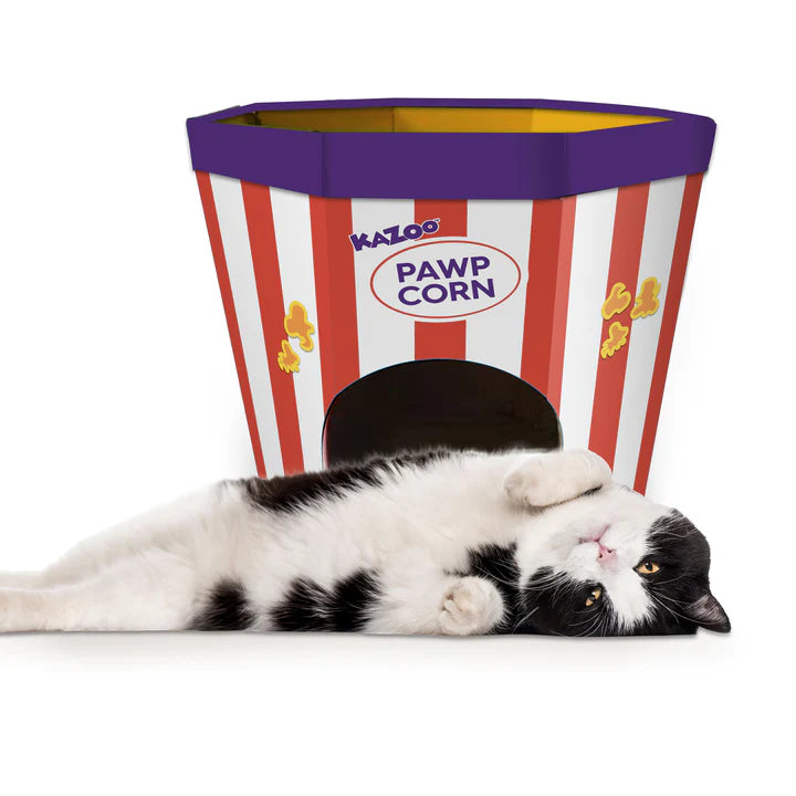 Kazoo Kitty Popcorn Cardboard House