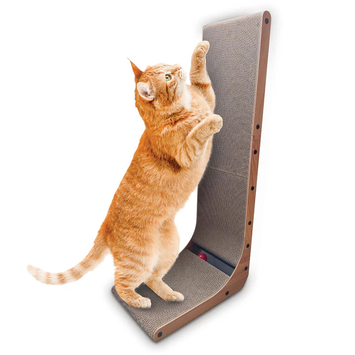 Kazoo Wall & Ball Vertical Scratch Pad