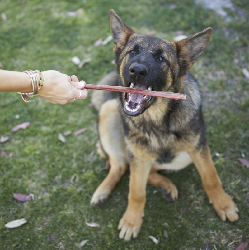 Kazoo Prime Cuts Beef Bully Stick 15cm 6pk