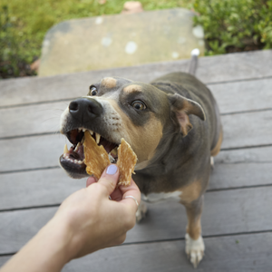 Kazoo Prime Cuts Chicken Breast 100g