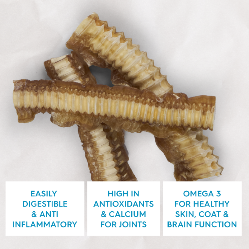 Kazoo Prime Cuts Shark Cartilage 100g