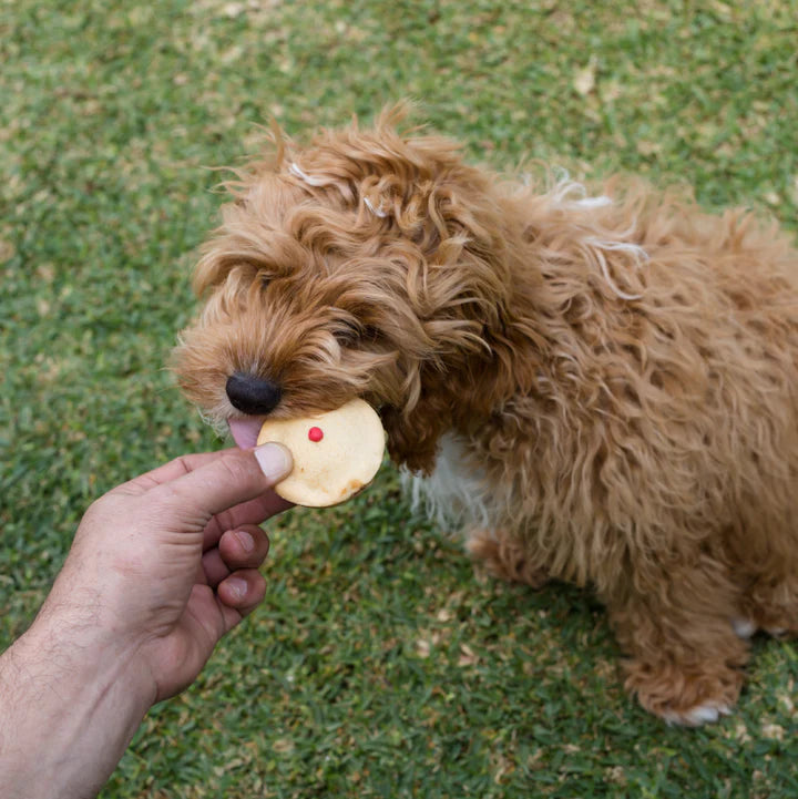 Kazoo Barney's Barkery Meat Pie