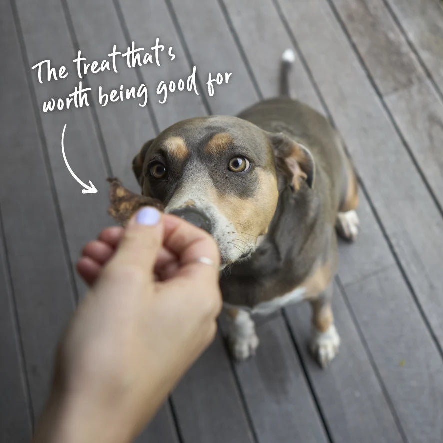 Kazoo Prime Cuts Beef Lung Cubes