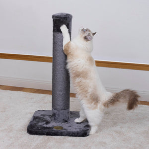 Kazoo Cat Scratch Post