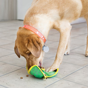 KONG Ballistic Hide 'n Treat Assorted